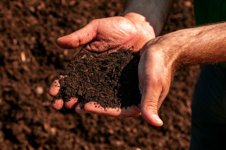Hands holding a pile of dark, crumbly soil